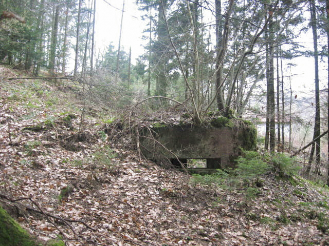 Ligne Maginot - SCHWANGERBACH 3 - (Blockhaus pour arme infanterie) - Vue générale - Christian LENHARD