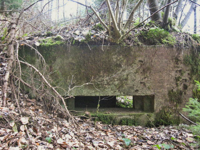Ligne Maginot - SCHWANGERBACH 3 - (Blockhaus pour arme infanterie) - Façade de tir - Christian LENHARD