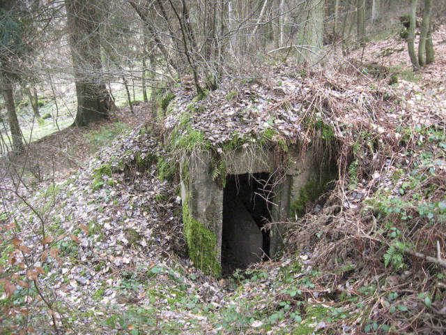 Ligne Maginot - SCHWANGERBACH 3 - (Blockhaus pour arme infanterie) - Façade arrière - Christian LENHARD