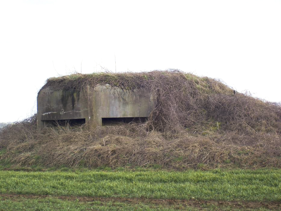 Ligne Maginot - SEELBERG (ROUTE DU ) - (Observatoire d'artillerie) -  - JM57