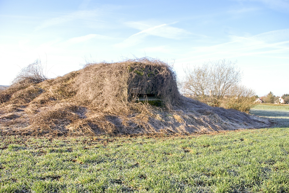 Ligne Maginot - SEELBERG (ROUTE DU ) - (Observatoire d'artillerie) -  - Denys