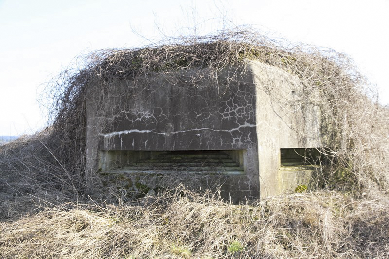Ligne Maginot - SEELBERG (ROUTE DU ) - (Observatoire d'artillerie) -  - Alain Perouffe