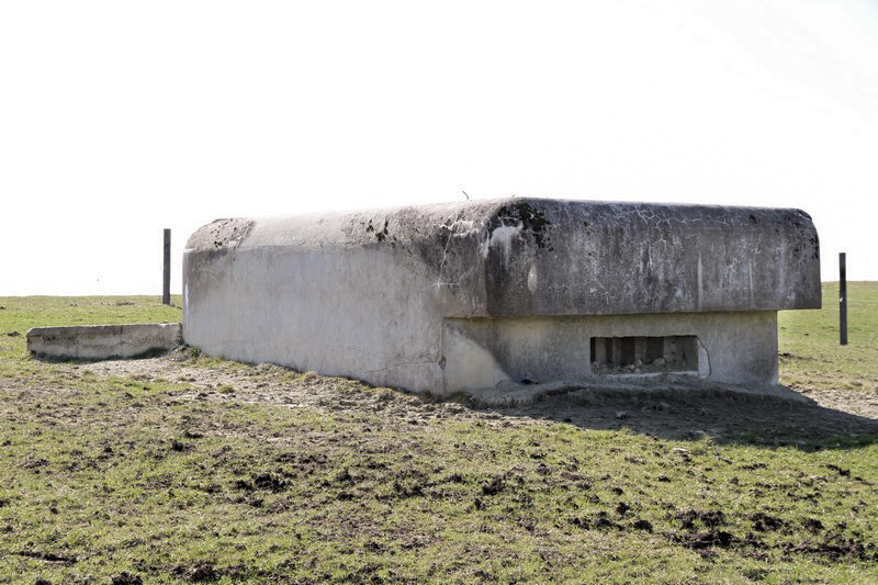 Ligne Maginot - SEELBERG 1 - (Blockhaus pour arme infanterie) -  - Alain Perouffe