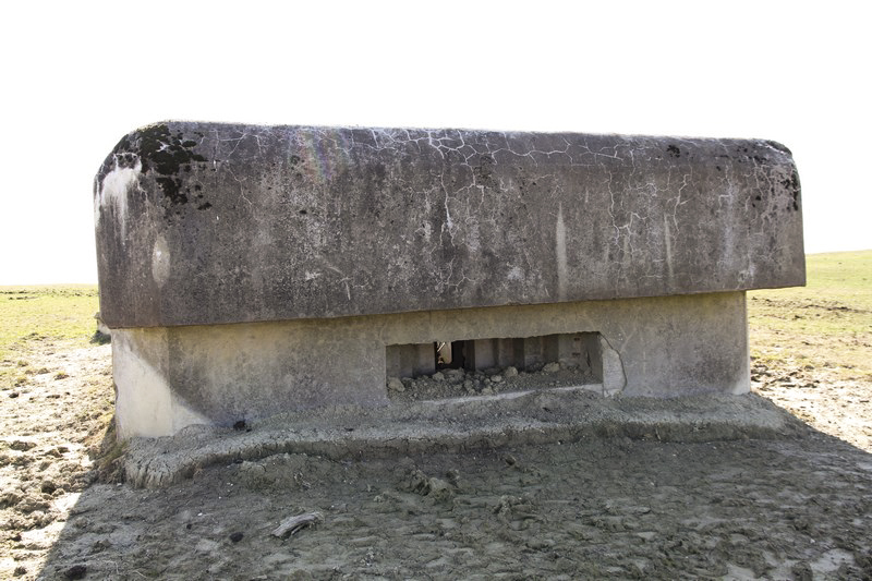 Ligne Maginot - SEELBERG 1 - (Blockhaus pour arme infanterie) -  - Alain Perouffe
