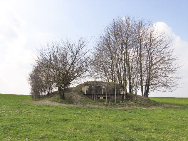 Ligne Maginot - SEELBERG 2 - (Blockhaus pour arme infanterie) - Vue générale - Christian LENHARD