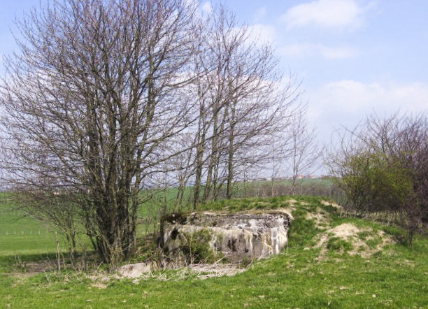 Ligne Maginot - SEELBERG 2 - (Blockhaus pour arme infanterie) - Facade arriere - Christian LENHARD
