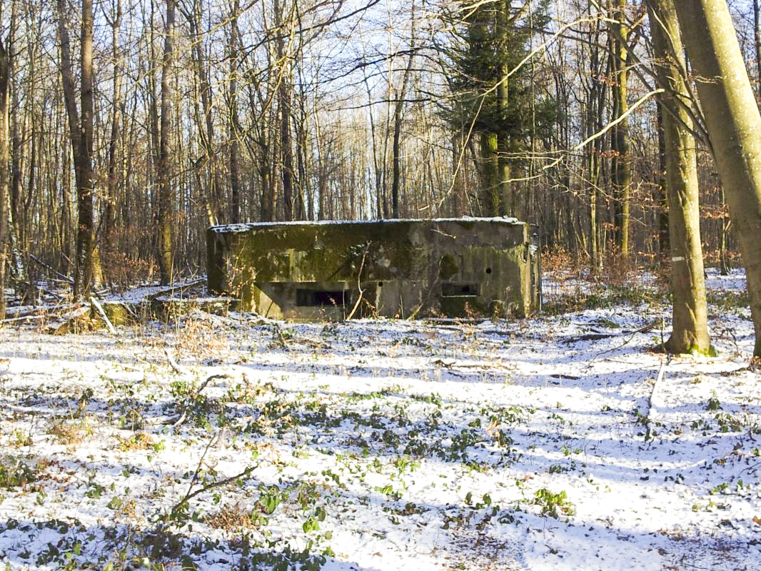 Ligne Maginot - SIMSERHOF EST 1 - (Blockhaus pour canon) -  - JFK BITCHE