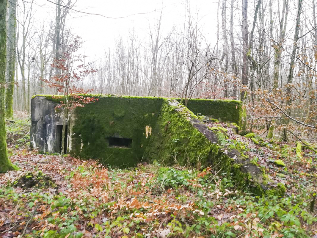 Ligne Maginot - SIMSERHOF EST 1 - (Blockhaus pour canon) -  - Julien Boulanger