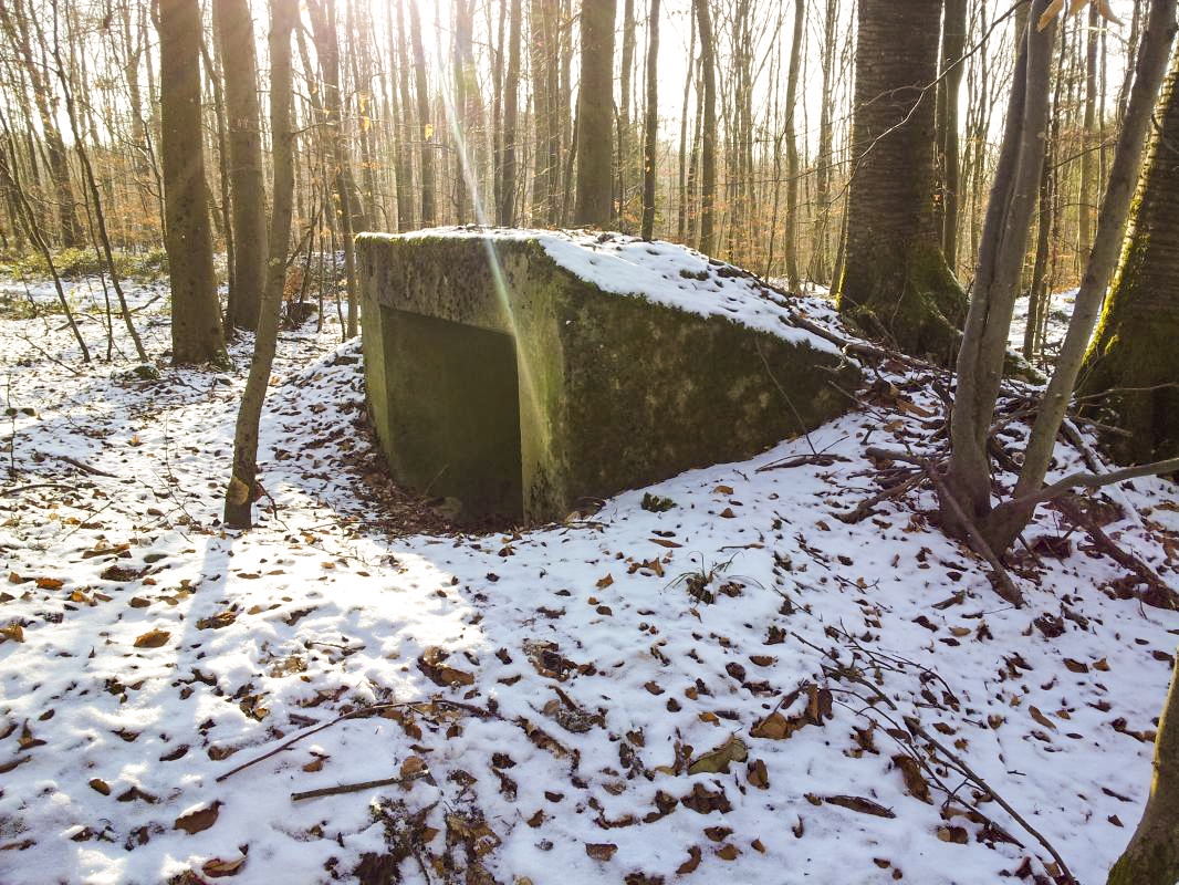 Ligne Maginot - SIMSERHOF EST 2 - (Blockhaus pour canon) -  - JFK BITCHE