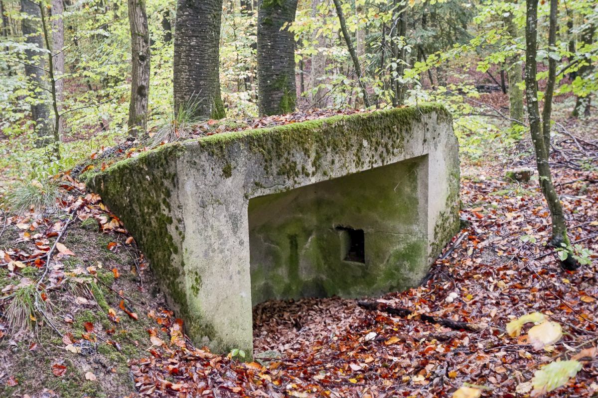 Ligne Maginot - SIMSERHOF EST 2 - (Blockhaus pour canon) -  - Michel Teiten