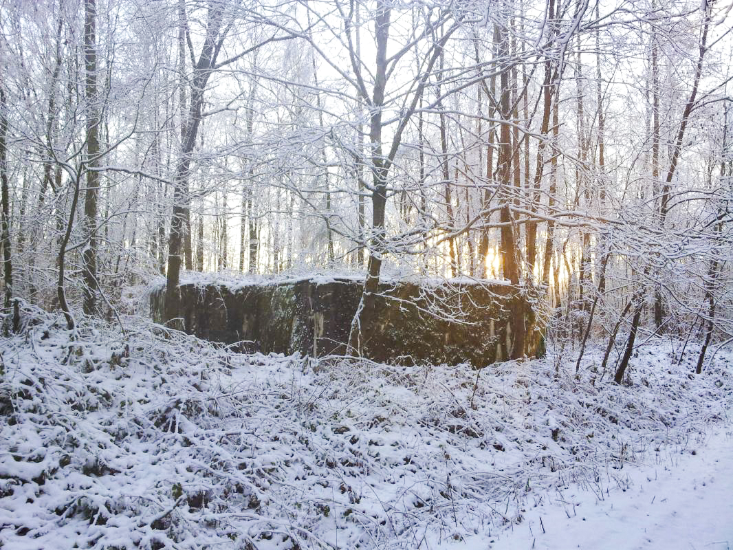 Ligne Maginot - SIMSERHOF OUEST 2 - (Blockhaus pour canon) -  - JFK BITCHE
