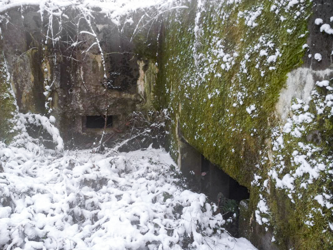 Ligne Maginot - SIMSERHOF OUEST 2 - (Blockhaus pour canon) -  - JFK BITCHE