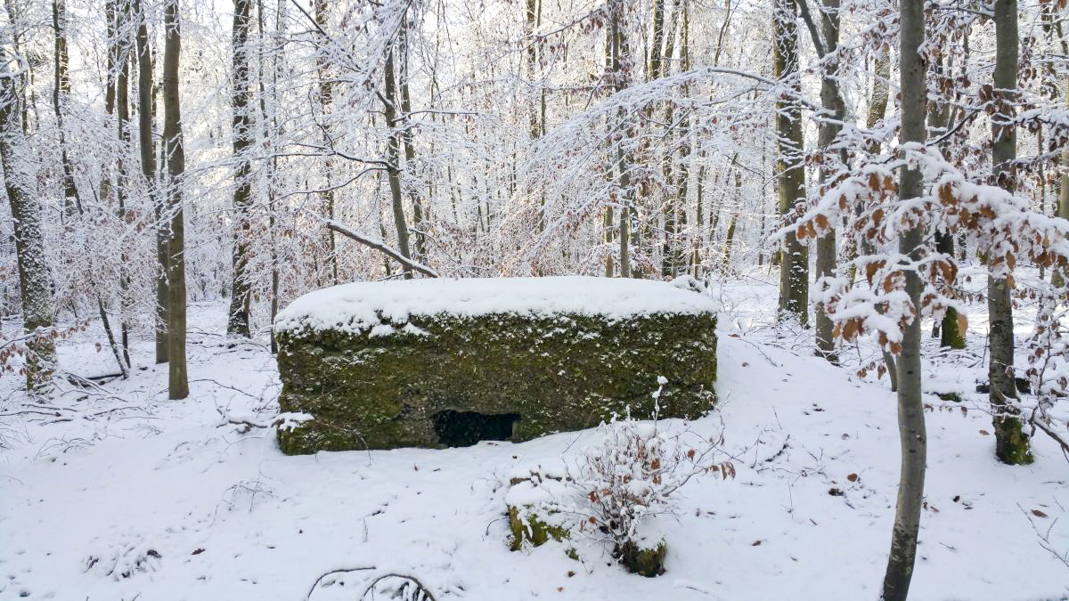 Ligne Maginot - SIMSERHOF OUEST 1 - (Blockhaus pour arme infanterie) -  - JFK BITCHE