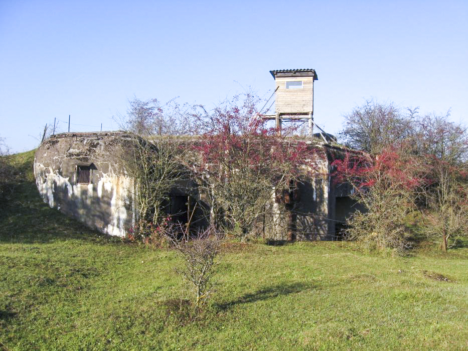 Ligne Maginot - SINNERSBERG EST - (Casemate d'infanterie) - Vue générale - Christian LENHARD