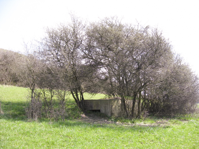 Ligne Maginot - TOTENBERG OUEST - (Blockhaus pour arme infanterie) - Vue générale - Christian LENHARD