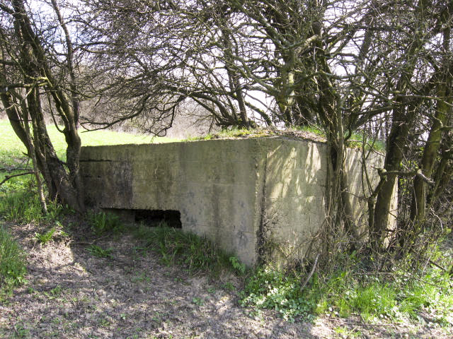 Ligne Maginot - TOTENBERG OUEST - (Blockhaus pour arme infanterie) - Façade de tir - Christian LENHARD