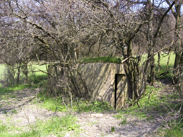 Ligne Maginot - TOTENBERG OUEST - (Blockhaus pour arme infanterie) - Façade arrière - Christian LENHARD