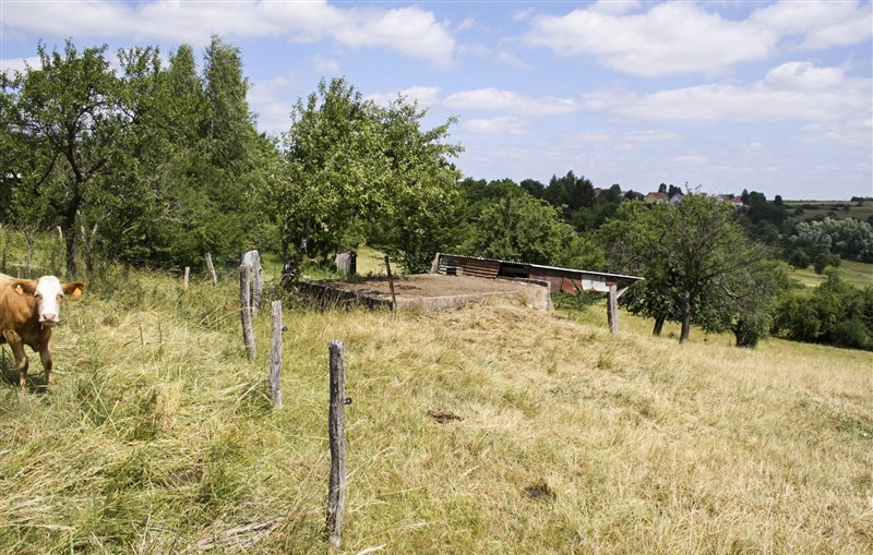 Ligne Maginot - TRUBACH OUEST - (Blockhaus pour canon) -  - Jean PUELINCKX