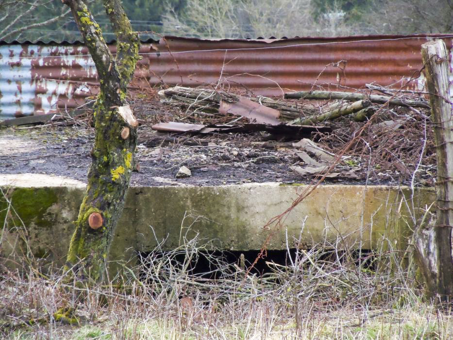Ligne Maginot - TRUBACH OUEST - (Blockhaus pour canon) -  - JM57