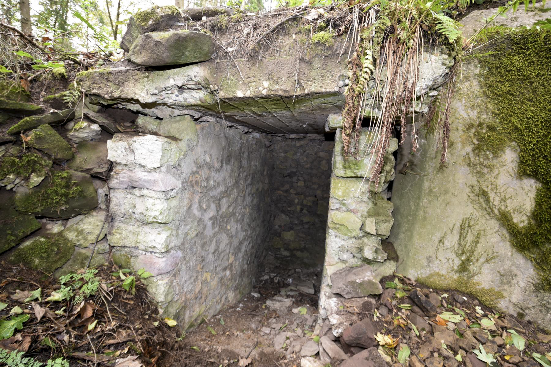 Ligne Maginot - WASENBERG 3 - (Blockhaus pour arme infanterie) -  - knapp ludovic