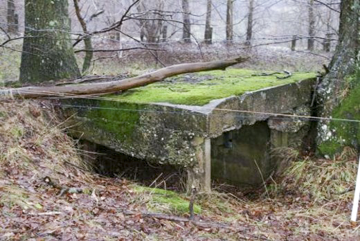 Ligne Maginot - GALGENBERG OUEST - (Blockhaus pour arme infanterie) - Vue d'ensemble - AALMA - www.lignemaginot.com