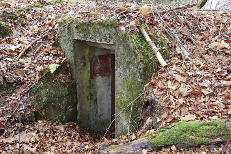 Ligne Maginot - GEISSBRONN (Blockhaus pour arme infanterie) - L'entrée - GRUBER Franck