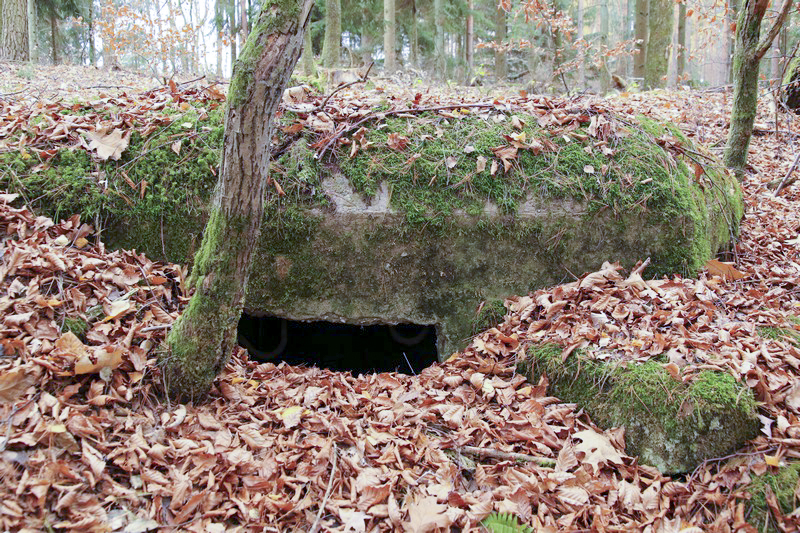 Ligne Maginot - GEISSBRONN (Blockhaus pour arme infanterie) - Une embrasure - GRUBER Franck