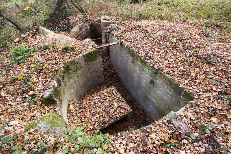 Ligne Maginot - FORT SEBASTIEN 2 (Cuve pour arme d'infanterie) -  - GRUBER Franck