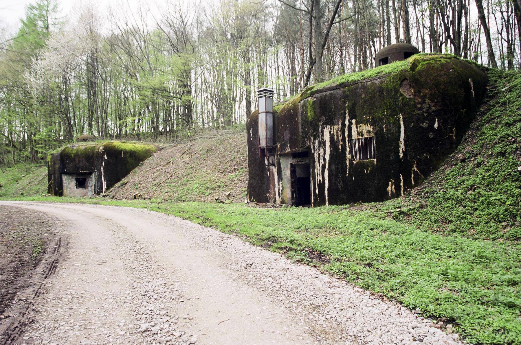 Ligne Maginot - FREUDENBERG (QUARTIER SCHIESSECK - I/37° RIF) - (Abri) - Les deux coffres d'entrée - Lia VERMEULEN