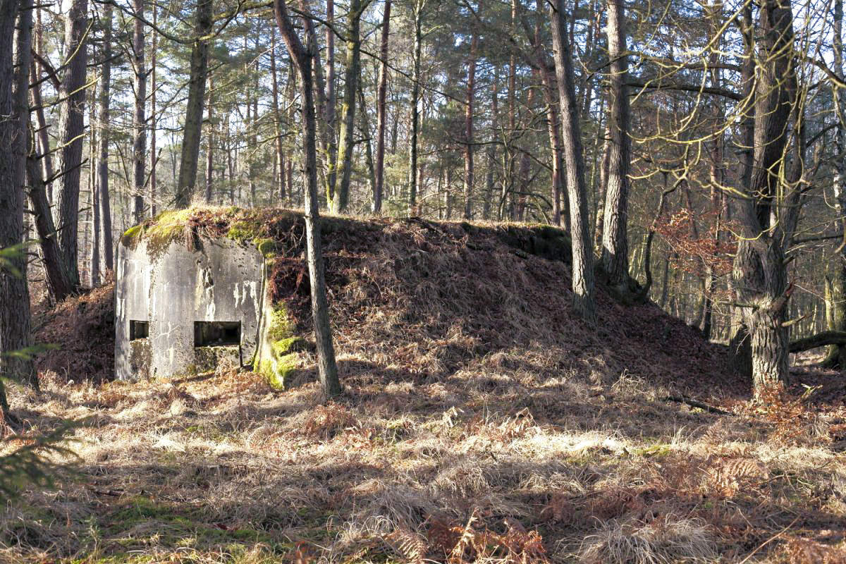 Ligne Maginot - GRAND HOHEKIRKEL 1 - (Blockhaus pour canon) -  - Anonyme