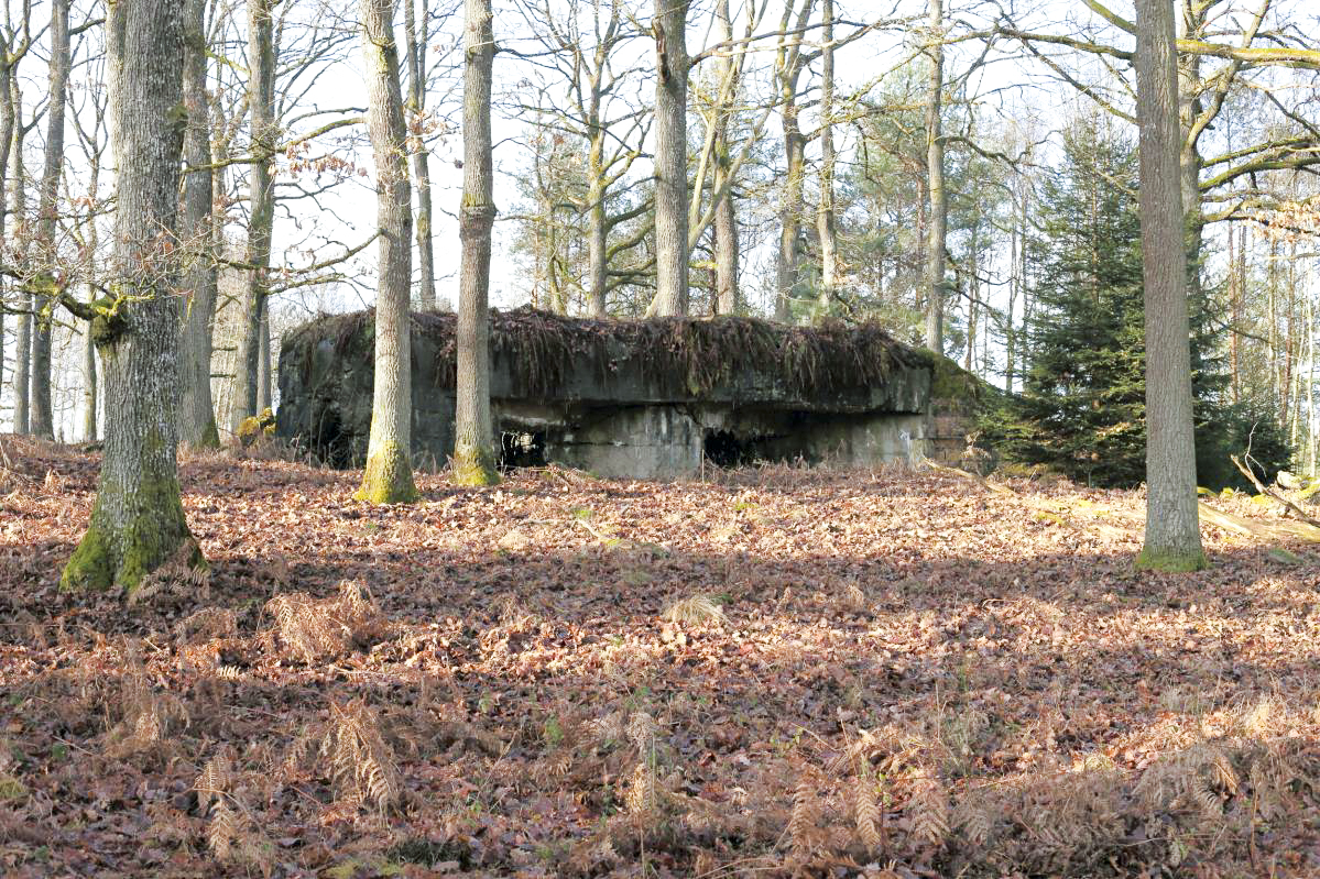 Ligne Maginot - GRAND HOHEKIRKEL 3 - (Blockhaus pour canon) -  - Anonyme