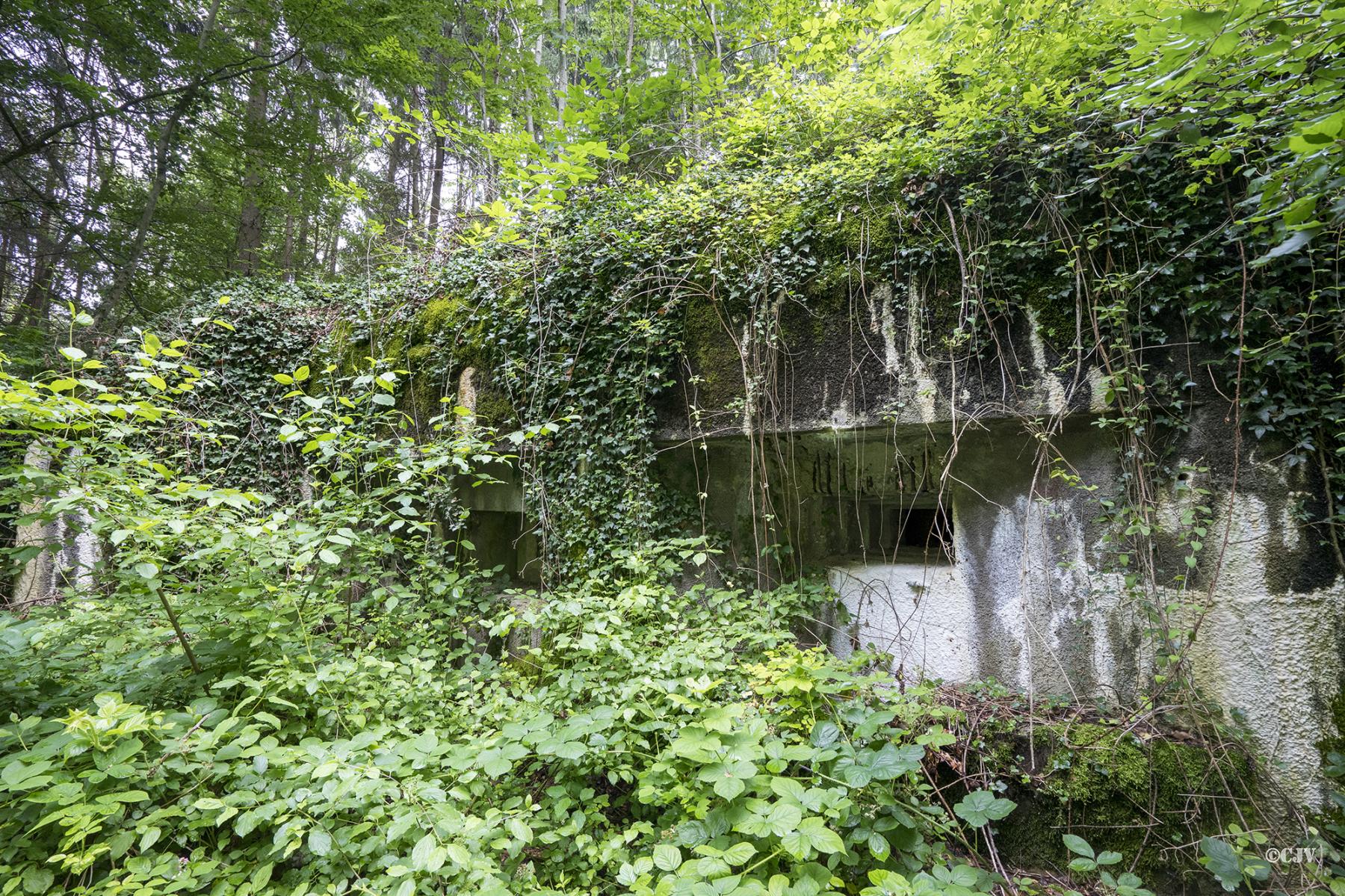 Ligne Maginot - 100 - WILLERBACH - (Casemate d'infanterie) - Les créneaux - Lia VERMEULEN