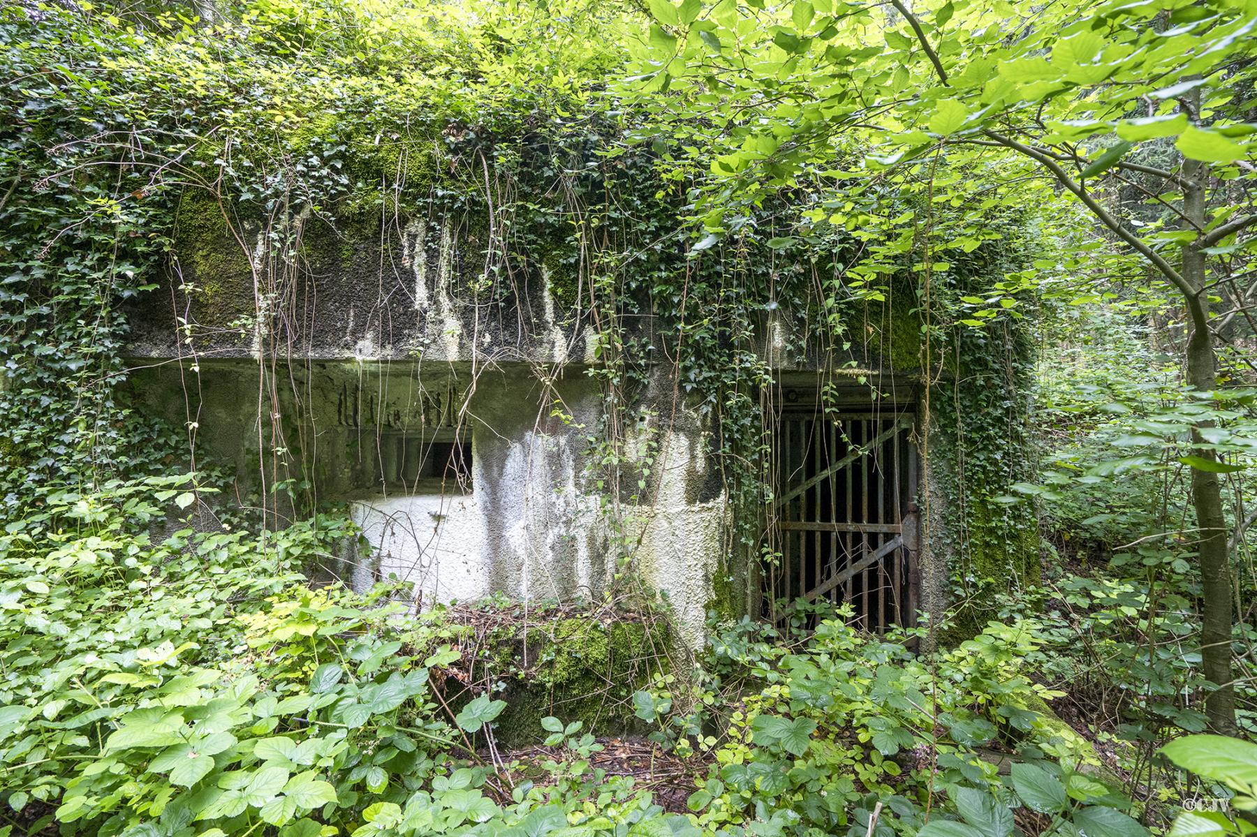 Ligne Maginot - 100 - WILLERBACH - (Casemate d'infanterie) - L'entrée - Lia VERMEULEN
