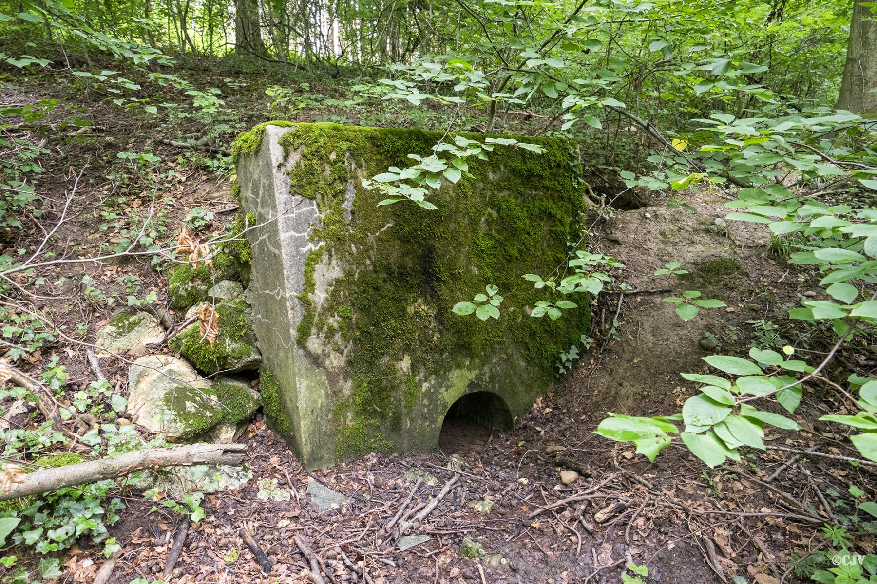 Ligne Maginot - 100 - WILLERBACH - (Casemate d'infanterie) - L’égout  - Lia VERMEULEN