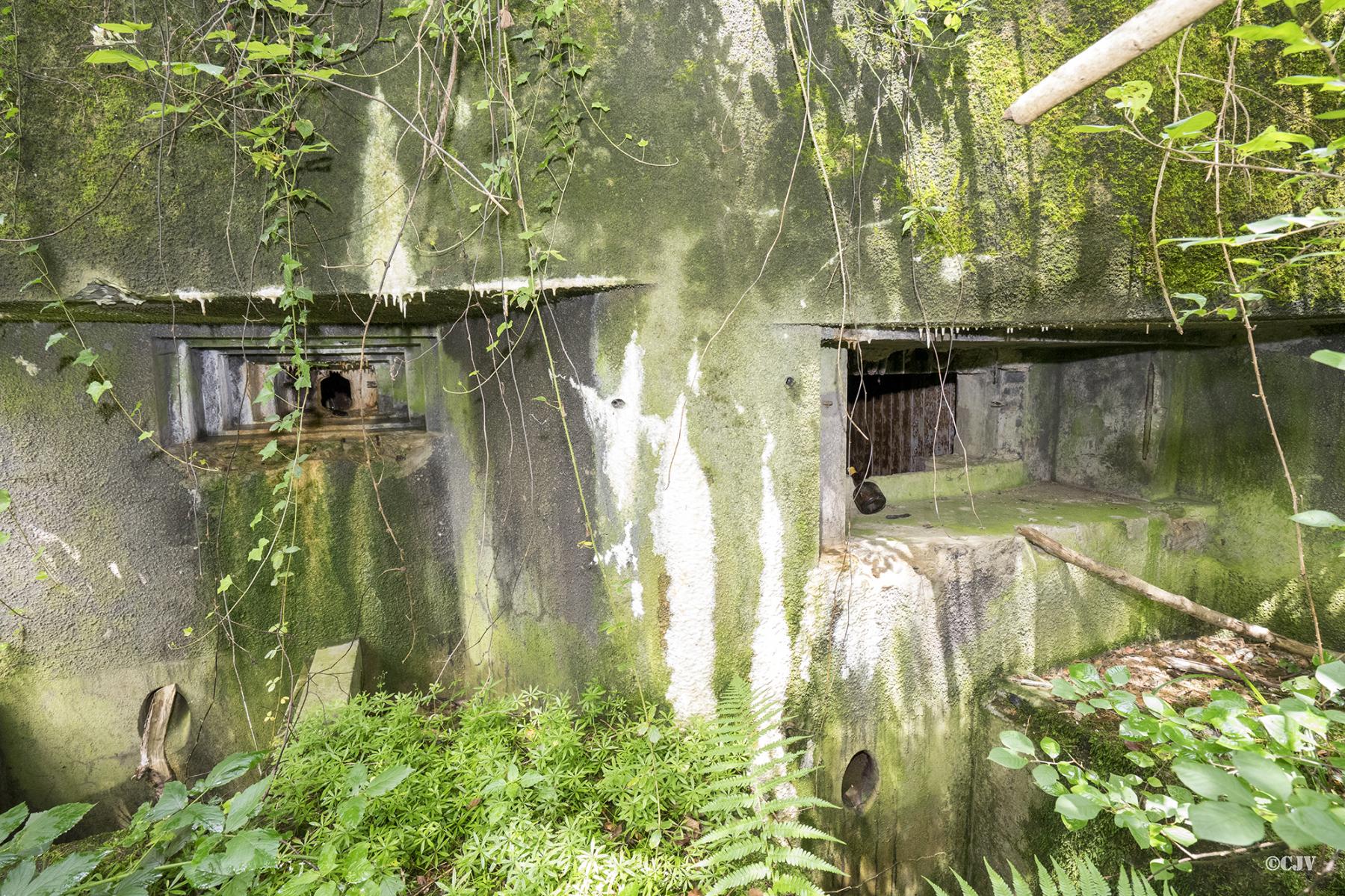 Ligne Maginot - 101 - TIEFENBACH NORD - (Casemate d'infanterie - double) - Les créneaux  - Lia VERMEULEN