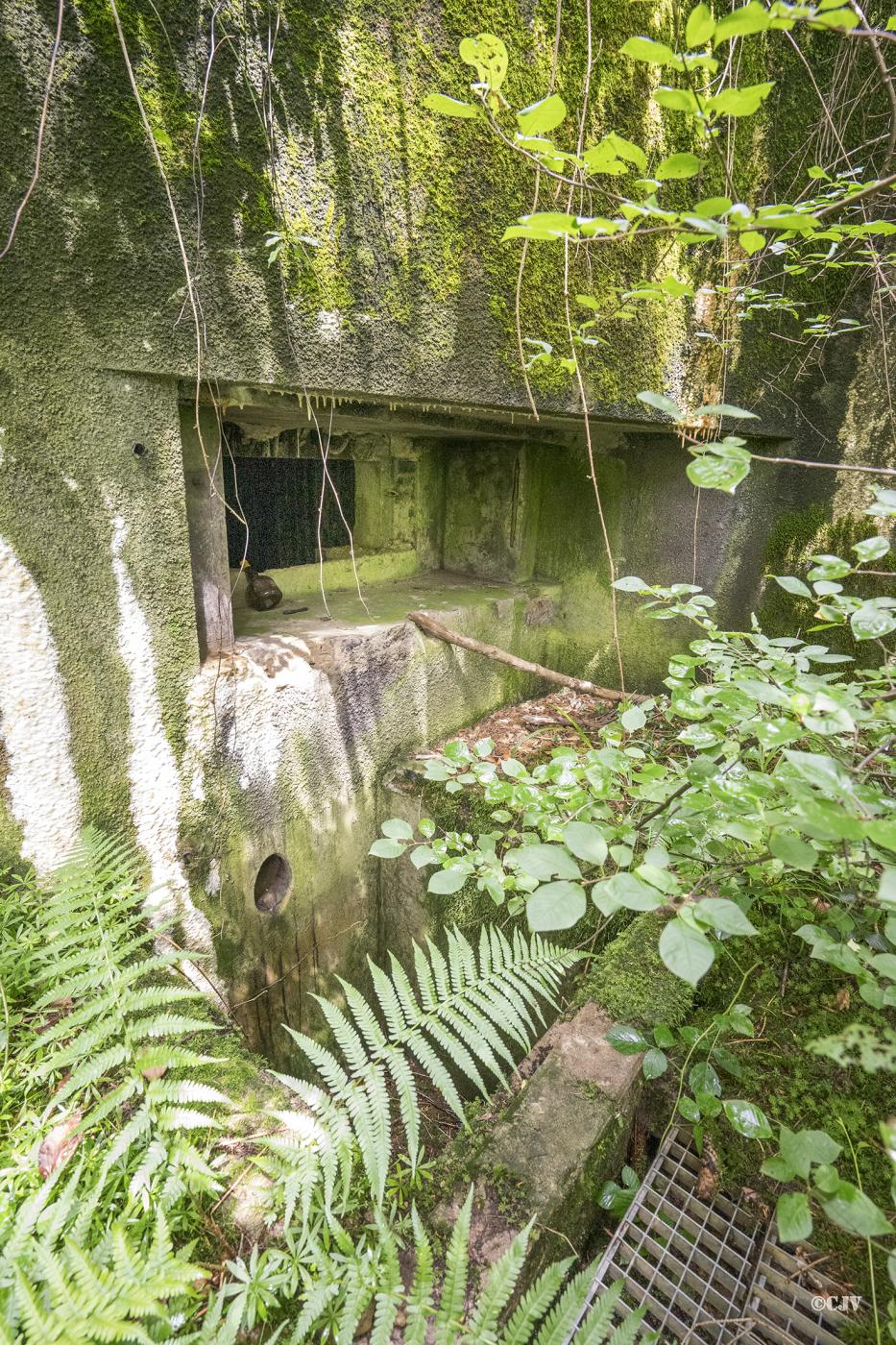 Ligne Maginot - 101 - TIEFENBACH NORD - (Casemate d'infanterie - double) - Le créneau pour le canon  - Lia VERMEULEN