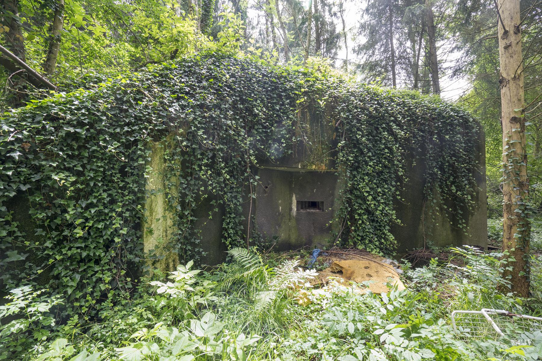 Ligne Maginot - 101 - TIEFENBACH NORD - (Casemate d'infanterie - double) - Le créneau qui flanque vers la casemate de Willerbach - Lia VERMEULEN