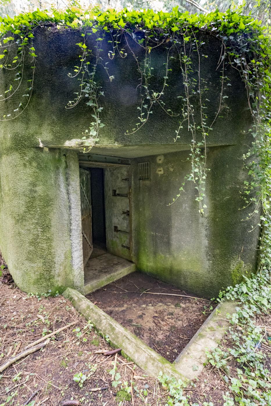 Ligne Maginot - 101 - TIEFENBACH NORD - (Casemate d'infanterie - double) - L'entrée - Lia VERMEULEN