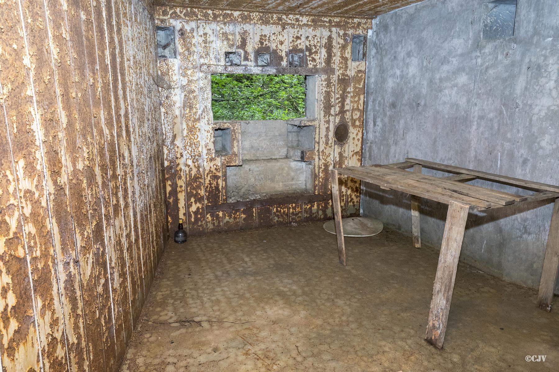 Ligne Maginot - 101 - TIEFENBACH NORD - (Casemate d'infanterie - double) - Chambre de tir du canon - Lia VERMEULEN