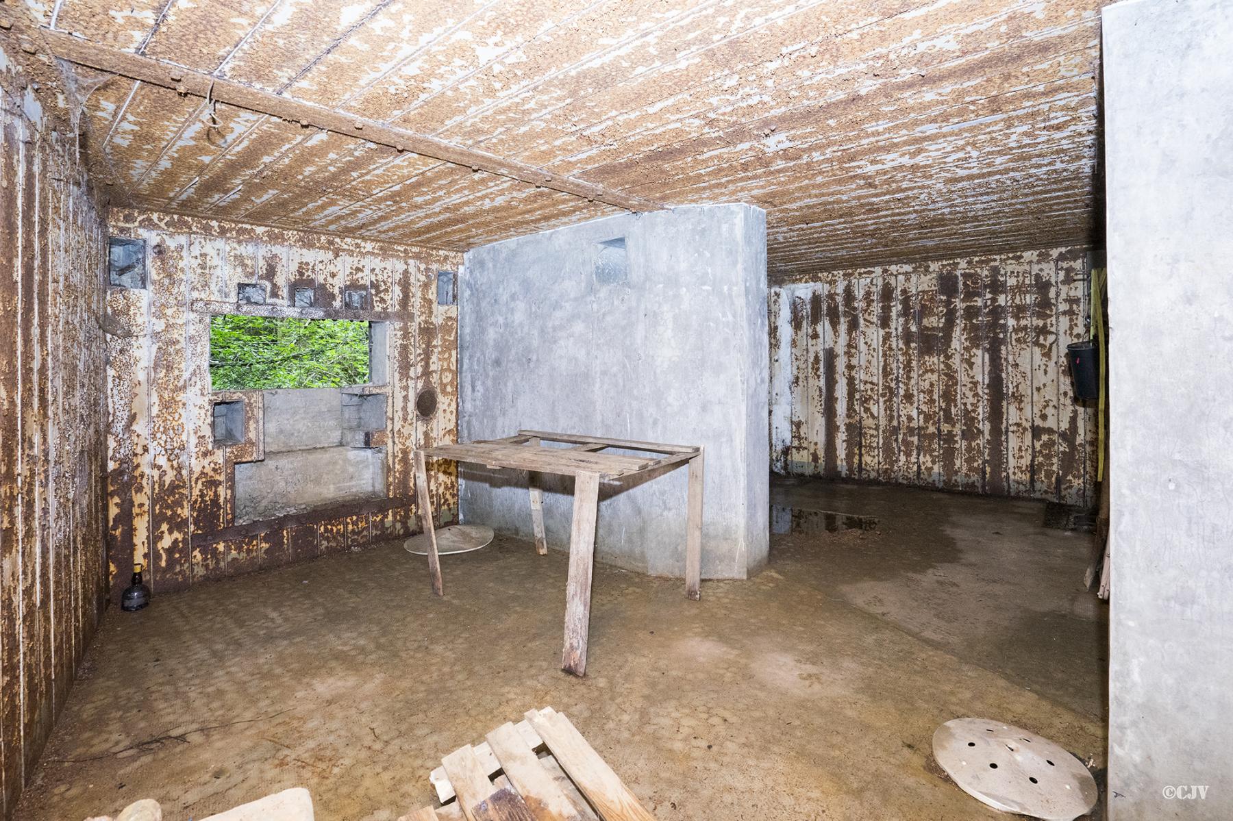 Ligne Maginot - 101 - TIEFENBACH NORD - (Casemate d'infanterie - double) - Chambres de tir vers le sud-est - Lia VERMEULEN