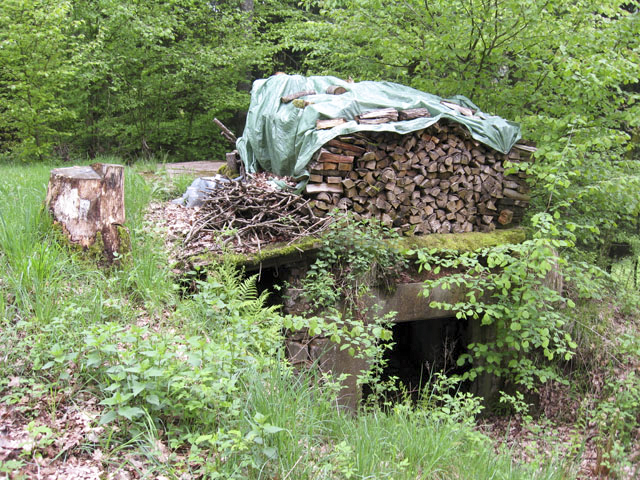 Ligne Maginot - HASPELSCHIEDT 2 (AVANT POSTE) - (Blockhaus pour canon) - Vue générale - Christian LENHARD