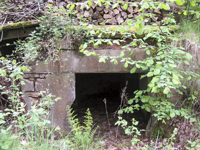 Ligne Maginot - HASPELSCHIEDT 2 (AVANT POSTE) - (Blockhaus pour canon) - L'entrée - Christian LENHARD