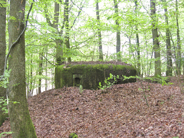 Ligne Maginot - HASPELSCHIEDT 4 (AVANT POSTE) - (Blockhaus pour arme infanterie) - Vue générale - Christian LENHARD