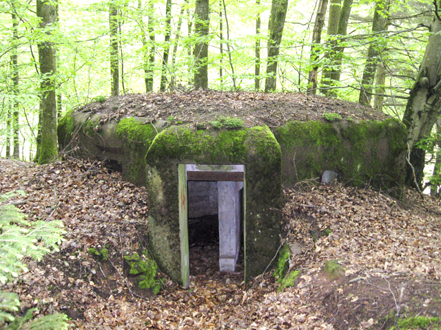 Ligne Maginot - HASPELSCHIEDT 4 (AVANT POSTE) - (Blockhaus pour arme infanterie) - L'entrée - Christian LENHARD