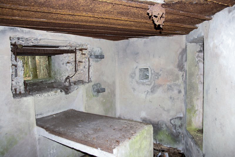 Ligne Maginot - HASSELFURTH - (Blockhaus pour arme infanterie) -  - GRUBER Franck