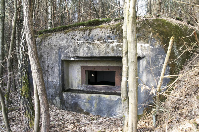 Ligne Maginot - KINDELBERG - (Blockhaus pour canon) -  - GRUBER Franck