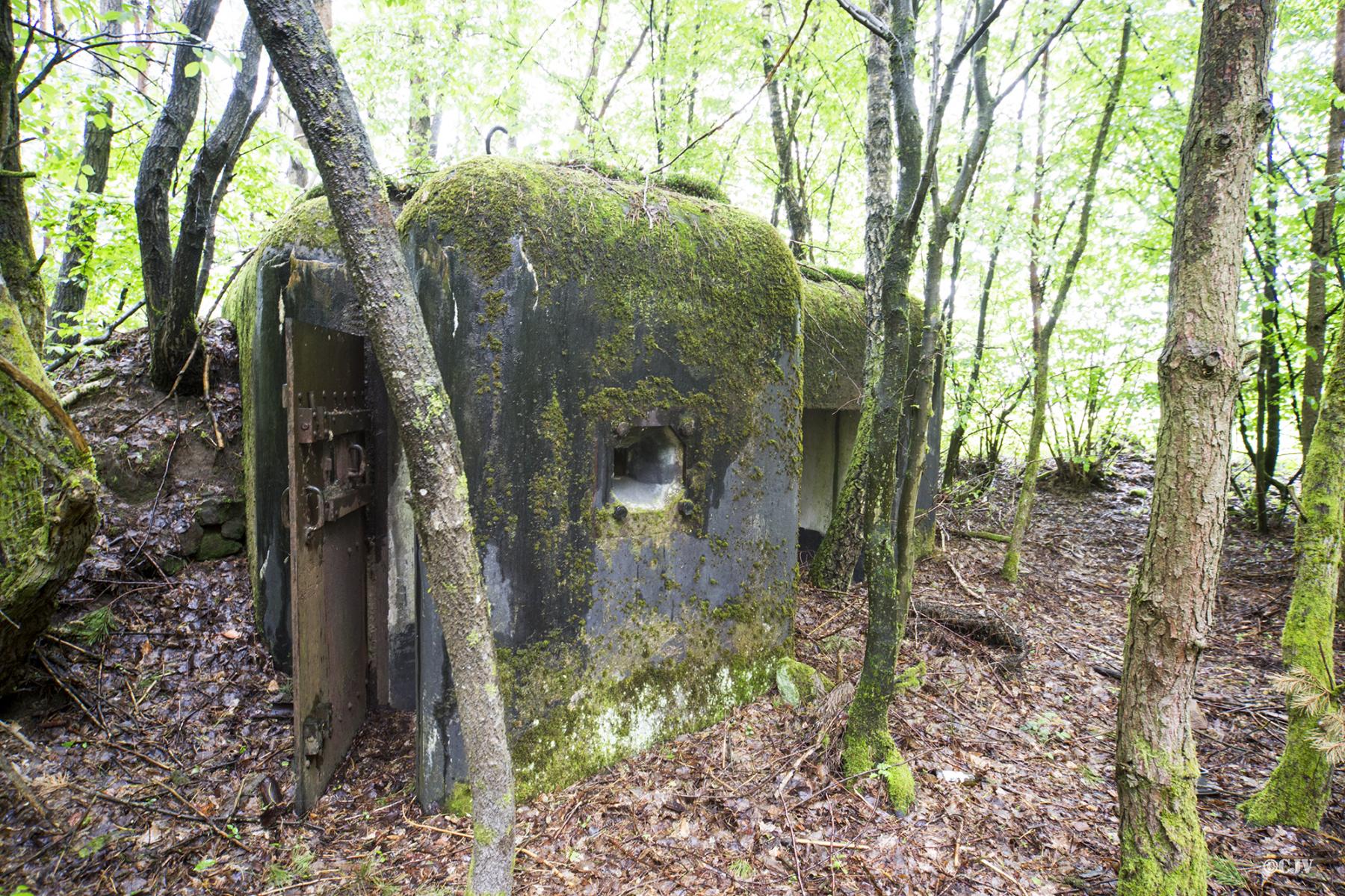 Ligne Maginot - KINDELBERG - (Blockhaus pour canon) -  - Lia VERMEULEN