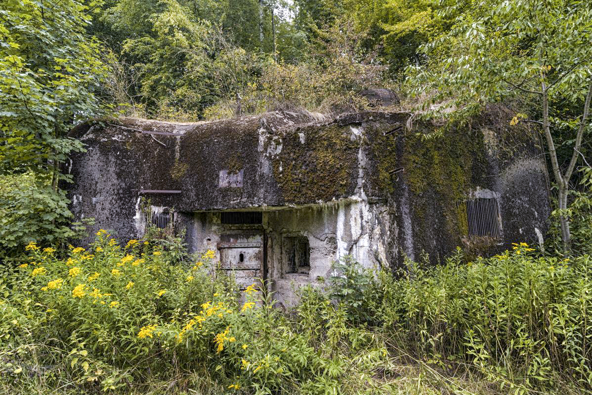 Ligne Maginot - LEGERET - (Abri) - Le coffre d'entrée Est qui disparaît sous la végétation. - Patrimoine en Images
