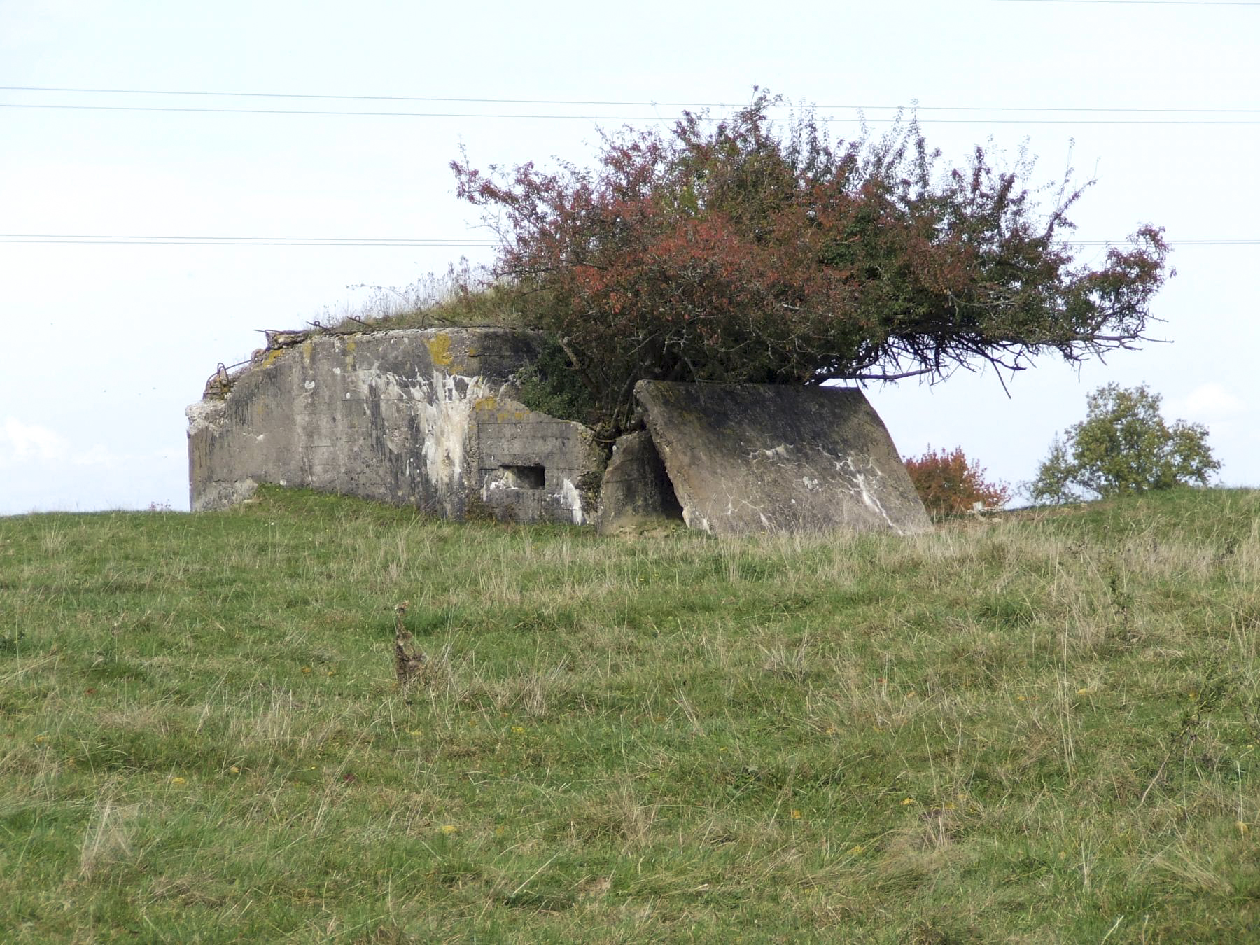 Ligne Maginot - LEGERET NORD 4 - M1 - (Blockhaus pour arme infanterie) -  - STENGER Mathieu