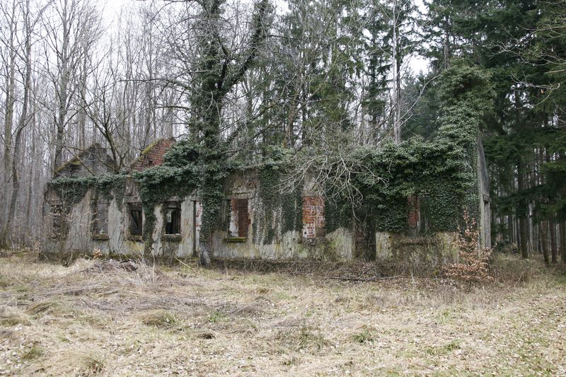 Ligne Maginot - NEUBACH  (AVANT POSTE) - (Casernement) - Le casernement - GRUBER Franck